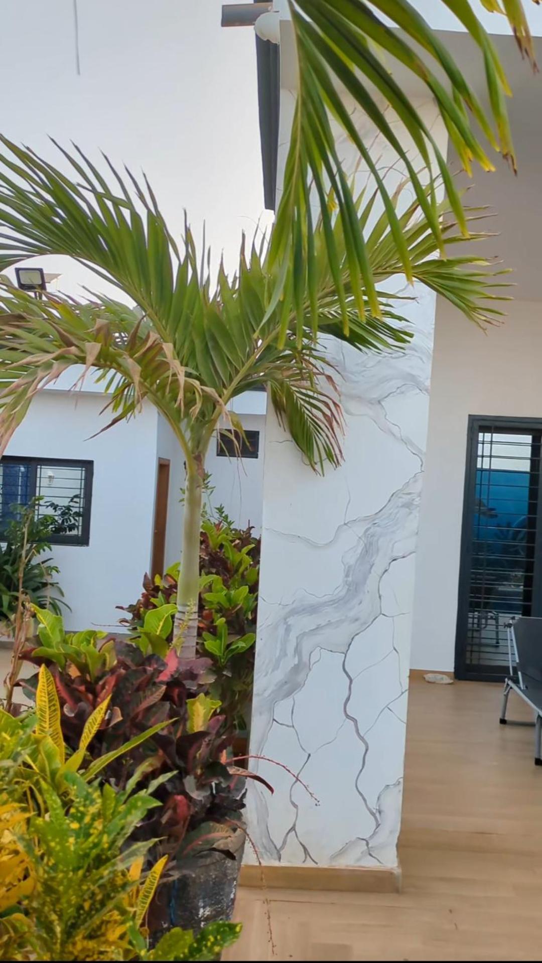 Villa Hawa, Decor Unique & Piscine Somone Exteriér fotografie